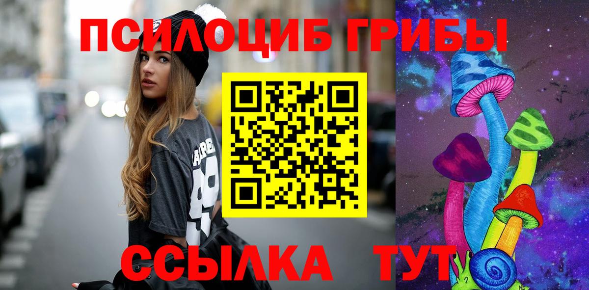 Галлюциногенные грибы Psilocybe  Вход с VPN  Галлюциногенные грибы мухоморы  Дубна 